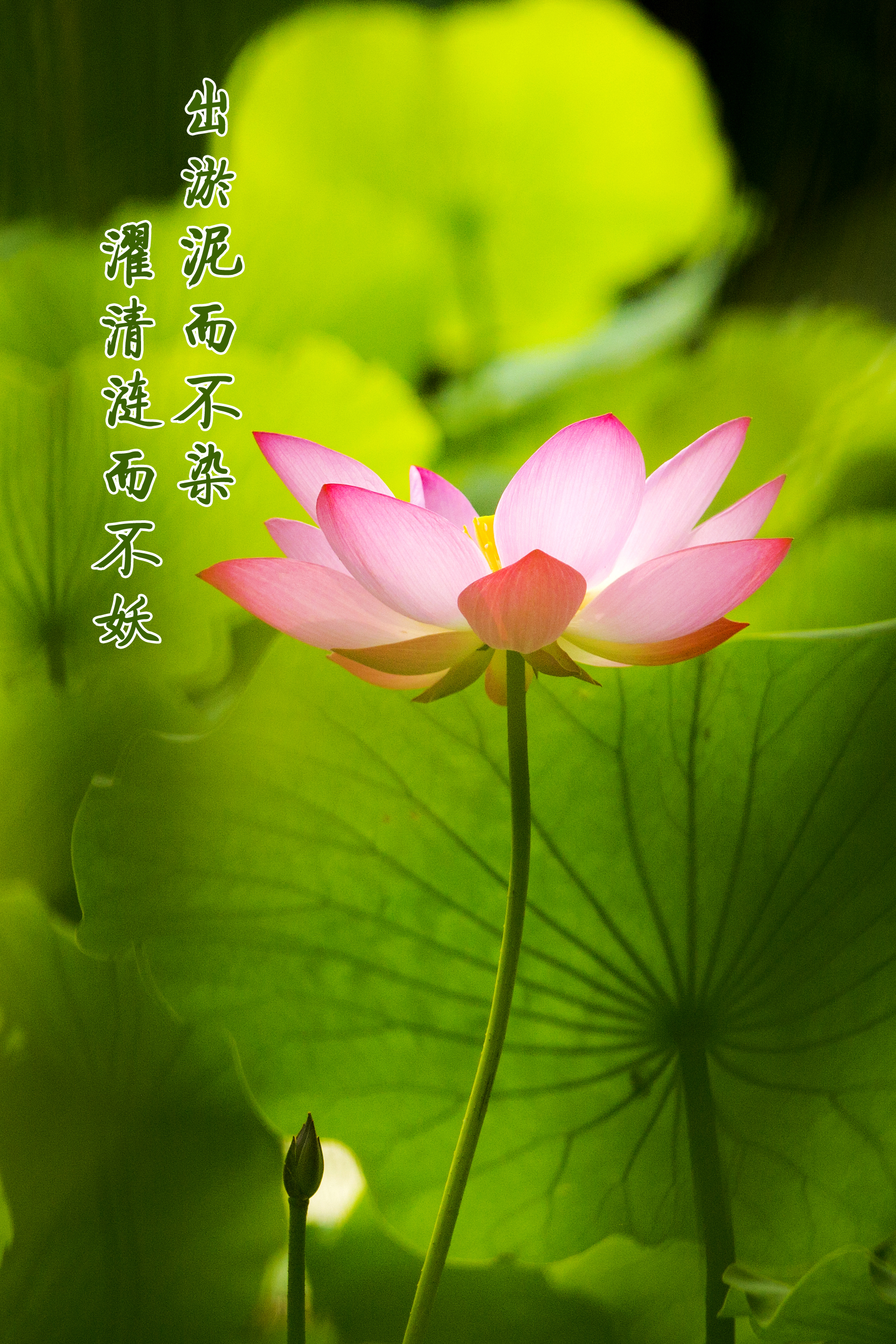 永乐国际·F66(中国游)官方网站