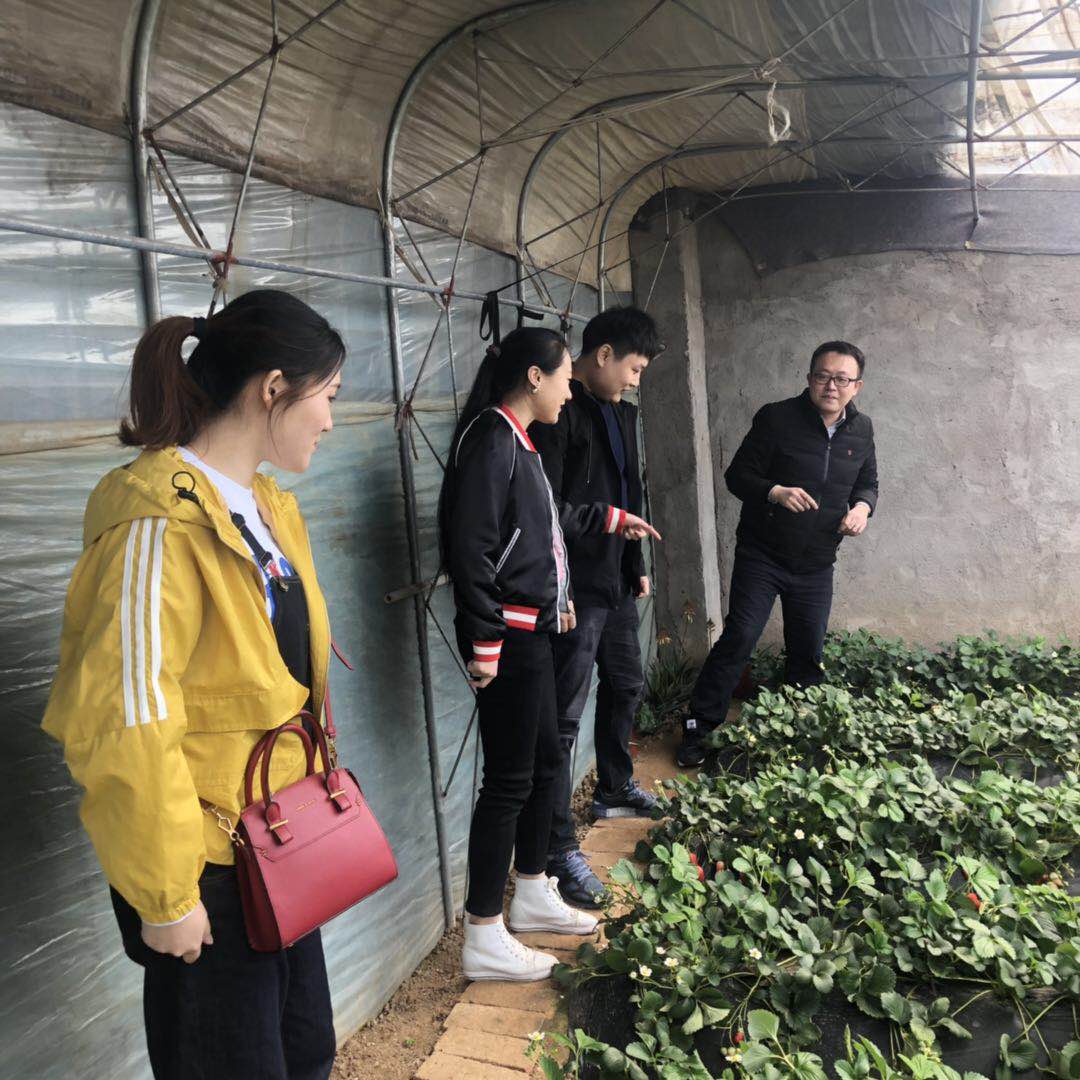 永乐国际·F66(中国游)官方网站